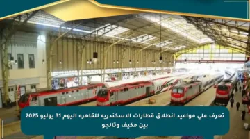 تعرف على مواعيد انطلاق قطارات الإسكندرية للقاهرة اليوم 31 يوليو 2025 بين مكيف وتالجو